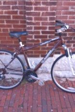 Schwinn Bike : Schwinn Solitaire : 19"