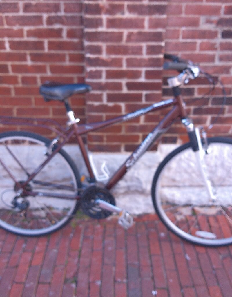 Schwinn Bike : Schwinn Solitaire : 19"