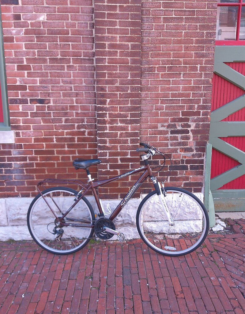 Schwinn Bike : Schwinn Solitaire : 19"