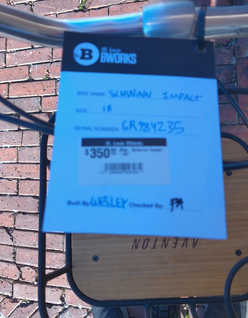 Schwinn Bike : Schwinn Impact : 18" Custom