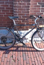 Schwinn Bike : Schwinn Impact : 18" Custom