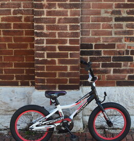 Giant Bike : Giant Animator : K16"  wheel