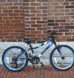 Bike : Guardian Ethos : K20" wheel