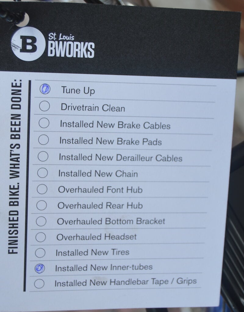 Bike : Blue Single Speed : 56cm