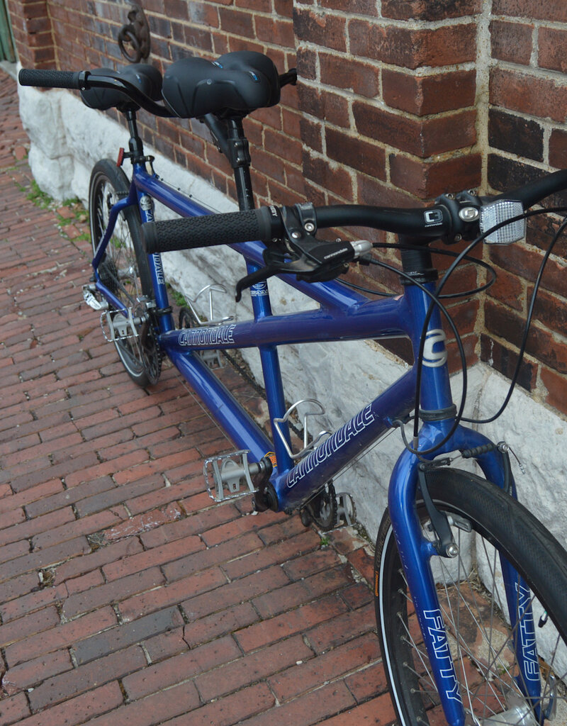 Trek Bike : Cannondale Mtn. Tandem : 20"