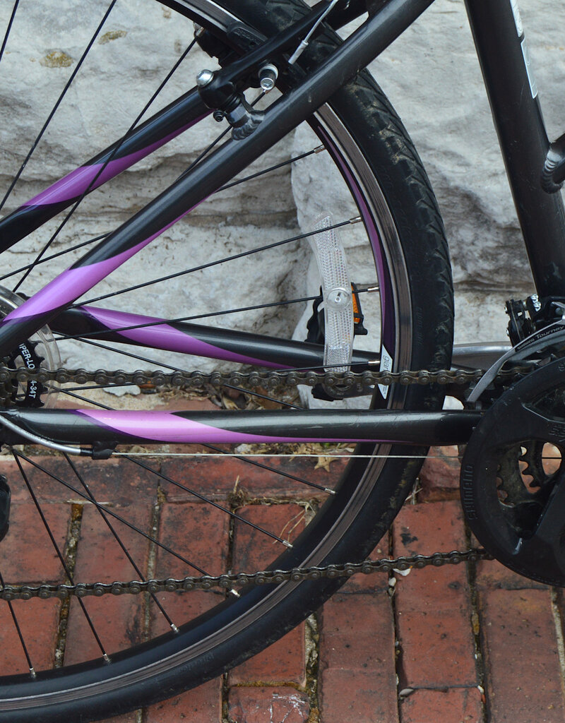 Giant Bike : Giant Escape : 17"