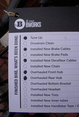 Bike : Raleigh Mojave 2.0 : 20"