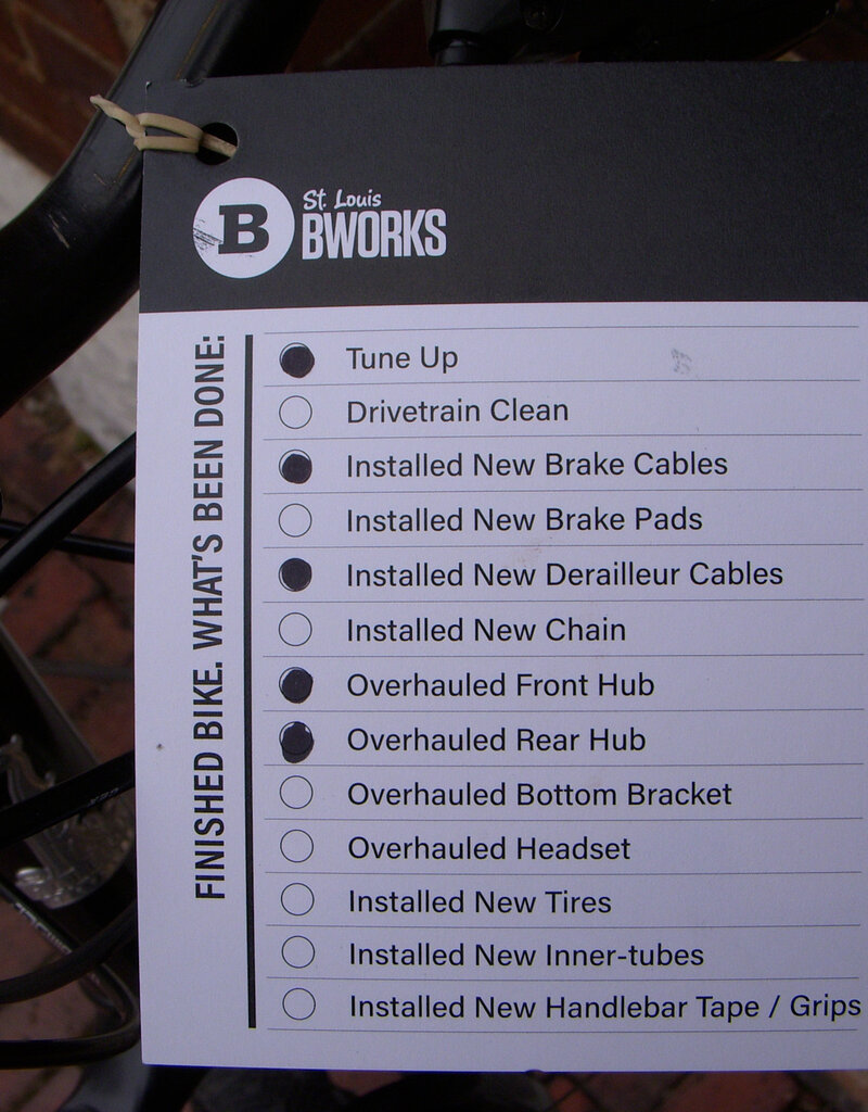 Bike : Raleigh Mojave 2.0 : 20"