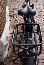 Bike : Rad Mini : 17"