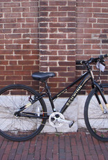 Schwinn Bike : Schwinn Sporterra : 15"