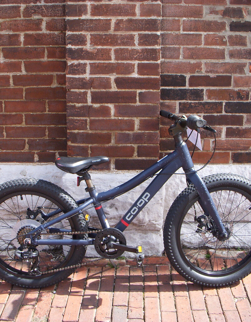 Coop Bike : CO-OP Rev 20 : K20