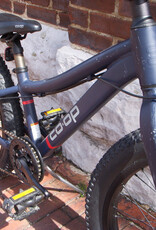Coop Bike : CO-OP Rev 20 : K20