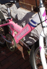 Specialized Bike : Specialized HotRock : K20