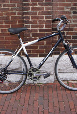 Raleigh Raleigh C30 : 21"