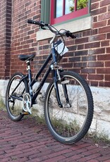 Trek Trek Navigator 300 : 16.5" Step Thru