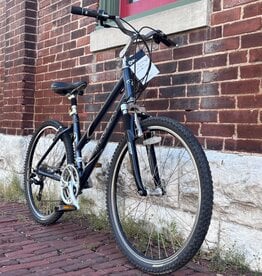 Trek Trek Navigator 300 : 16.5" Step Thru
