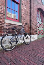 Trek Trek Navigator 300 : 16.5" Step Thru