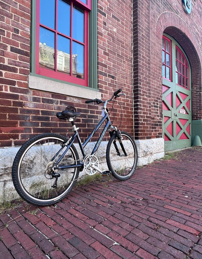 Trek Trek Navigator 300 : 16.5" Step Thru