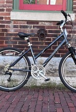 Trek Trek Navigator 300 : 16.5" Step Thru