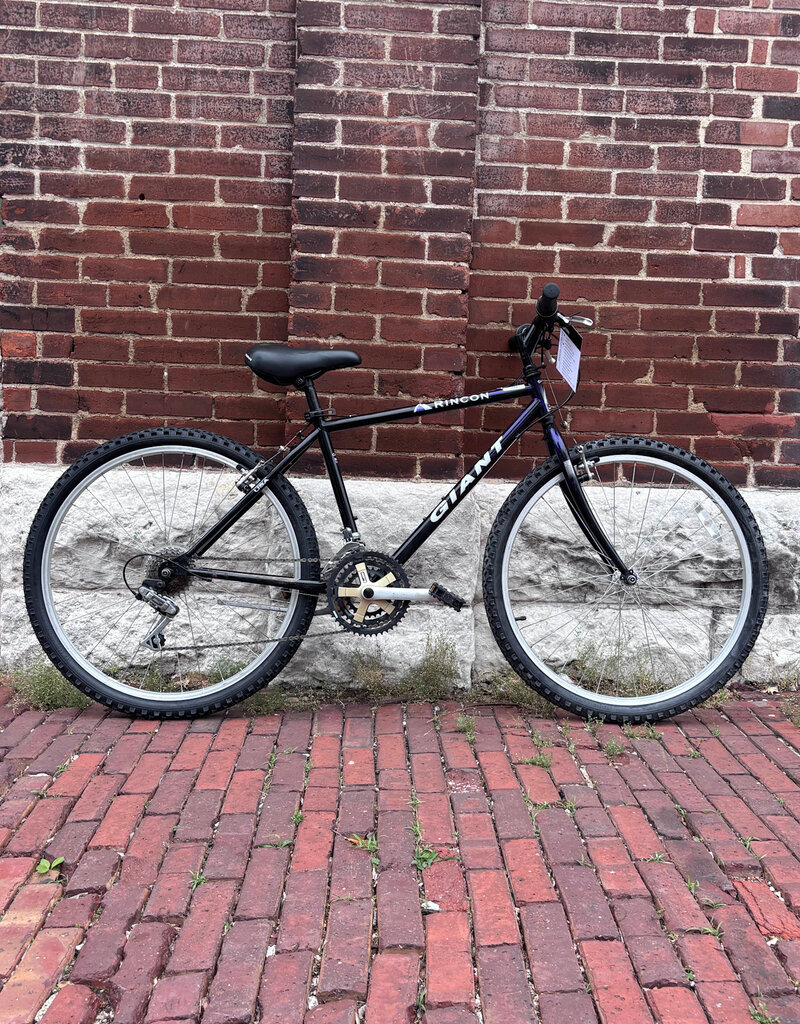 Giant Bike: Giant Rincon : 16"