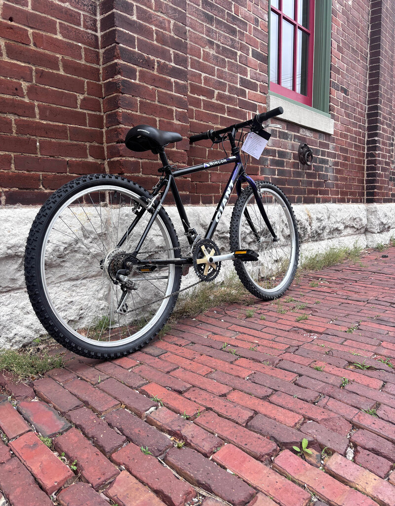Giant Bike: Giant Rincon : 16"