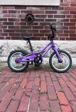 Bike : Guardian Ethos : K14"
