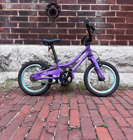 Bike : Guardian Ethos : K14"