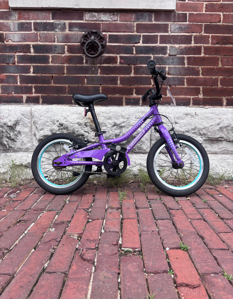 Bike : Guardian Ethos : K14"