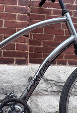 Electra Bike : Electra Townie 21D : OS