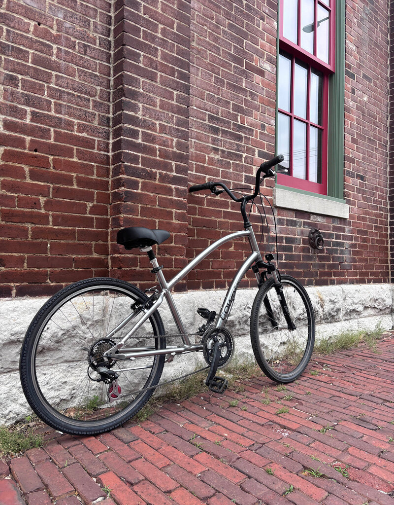 Electra Bike : Electra Townie 21D : OS