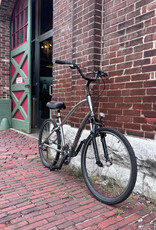 Electra Bike : Electra Townie 21D : OS