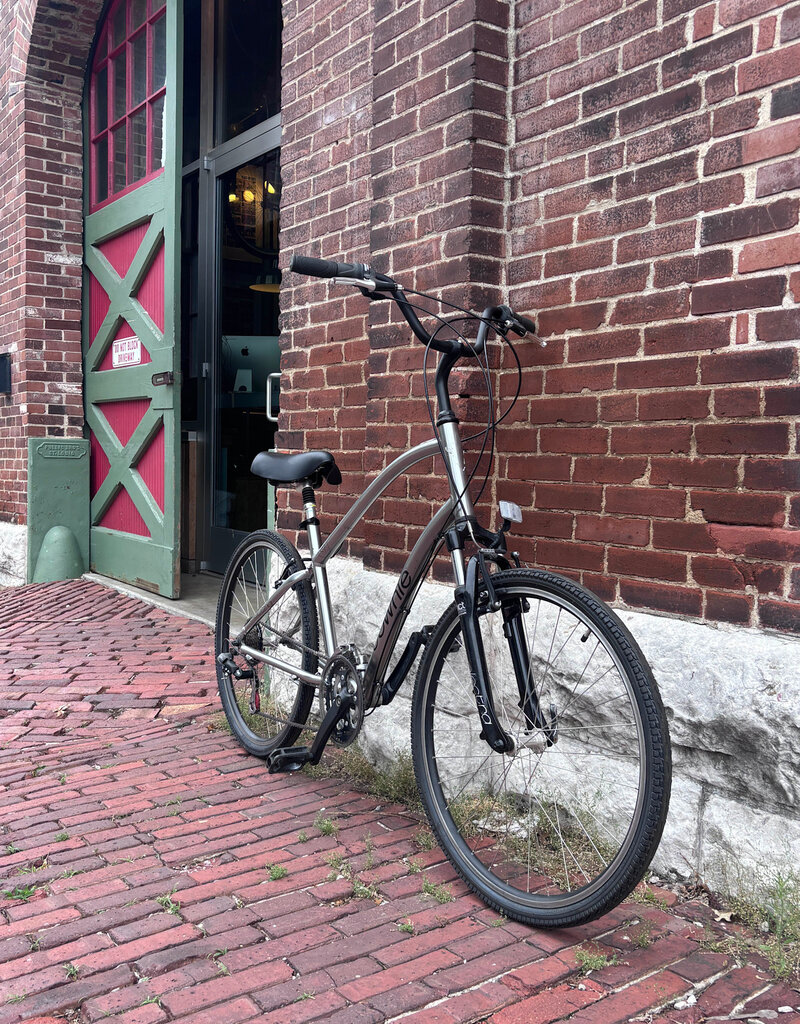 Electra Bike : Electra Townie 21D : OS