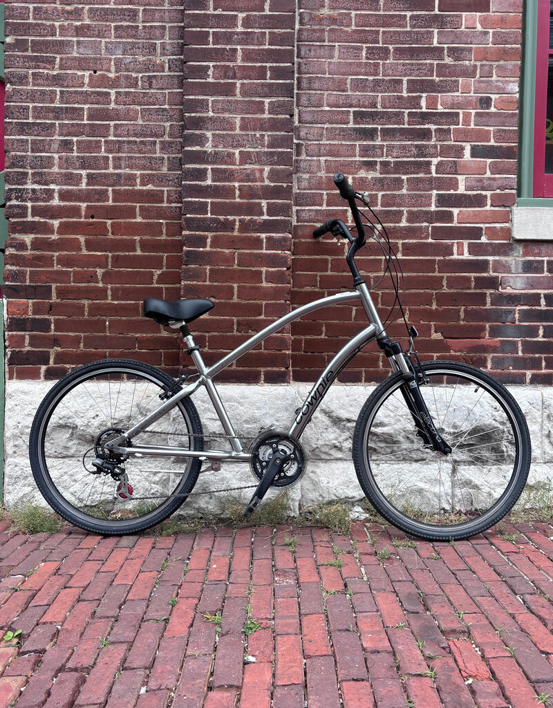 Electra Bike : Electra Townie 21D : OS