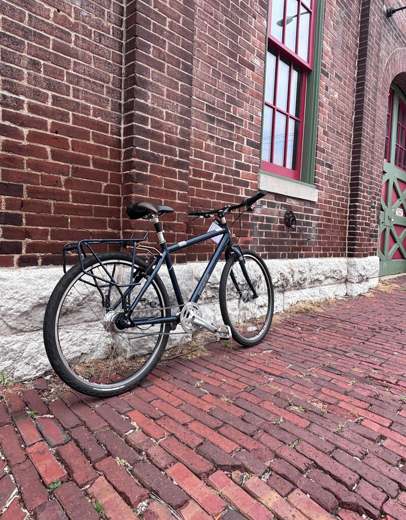 Novara Bike: Novara Transfer 15" Blue