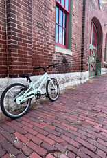 Bike : CO-OP Rev 20 : K20 LIght Green