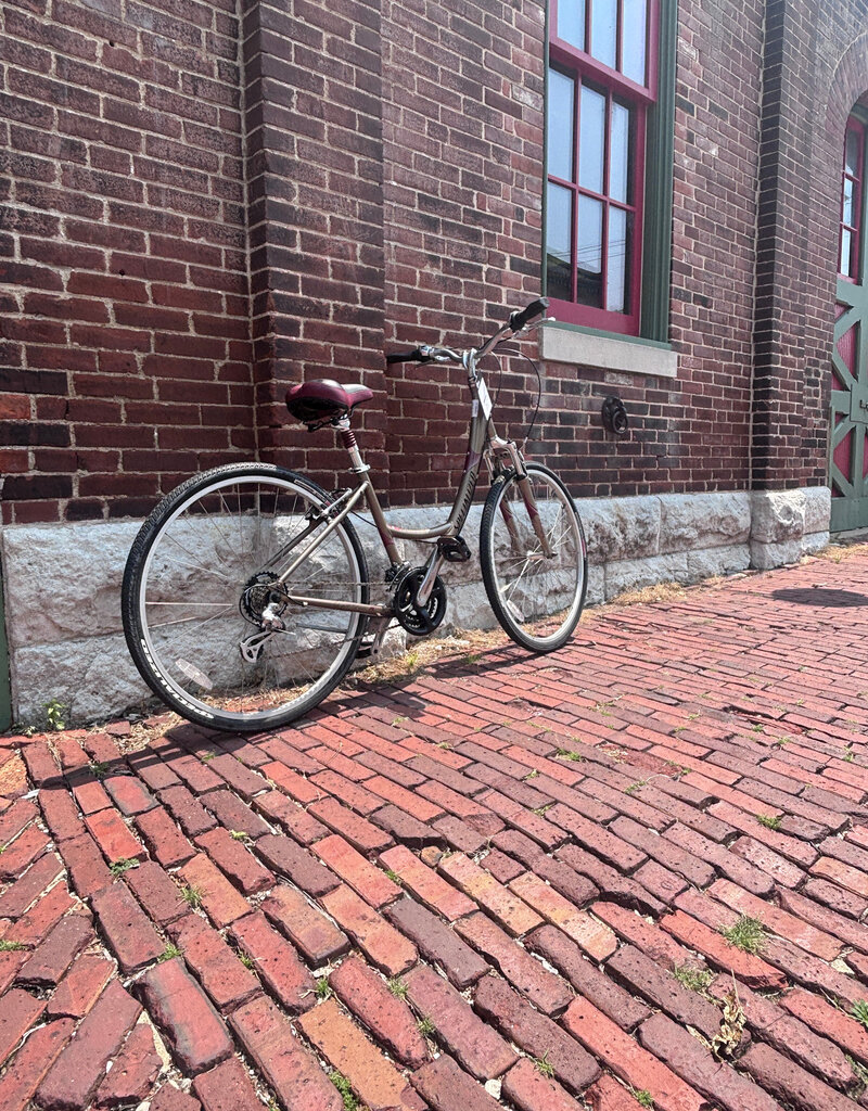 Bike: Specialized Crossroads Sport : 17" Step Thru Bronze