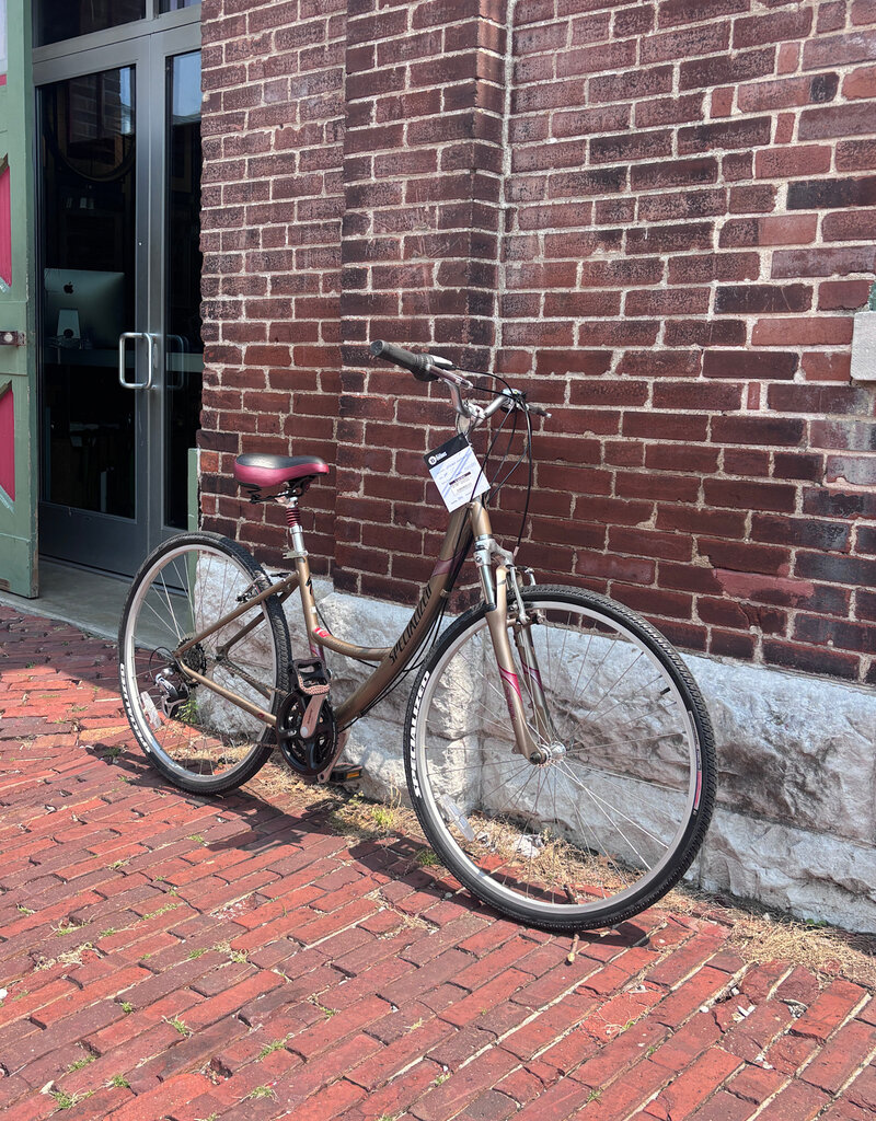 Bike: Specialized Crossroads Sport : 17" Step Thru Bronze