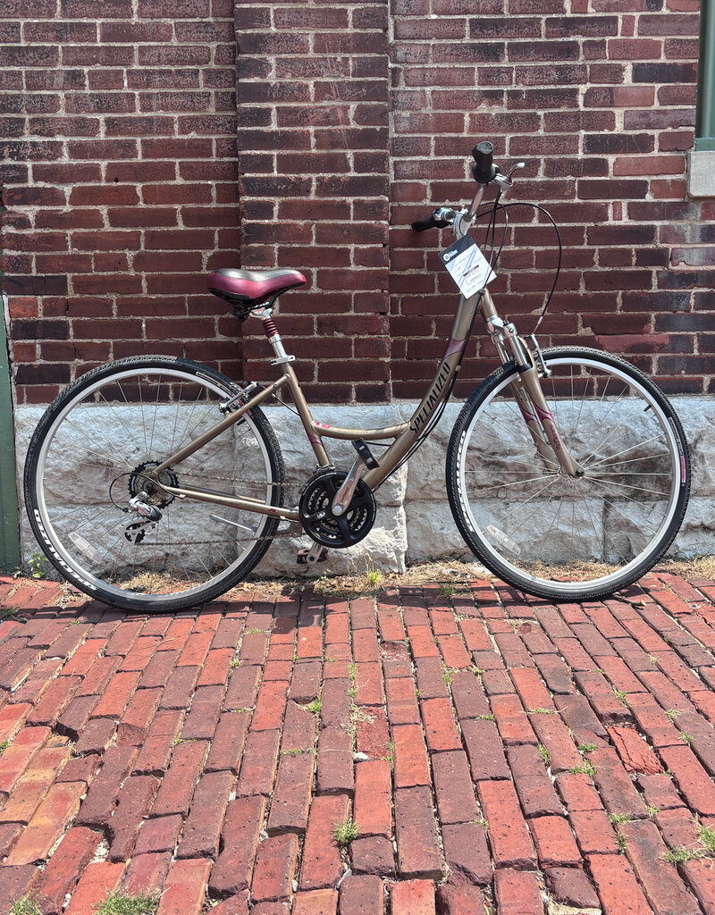 Bike: Specialized Crossroads Sport : 17" Step Thru Bronze