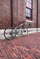 Specialized Bike: Specialized Ariel: 17"