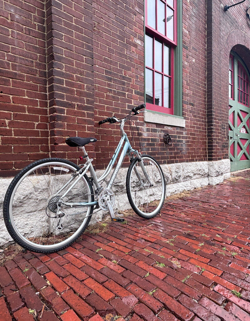 Giant Bike : Giant Cypress DX  : 15" Step Thru