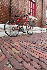 Diamond Back Bike : DiamondBack Edgewood : 21"