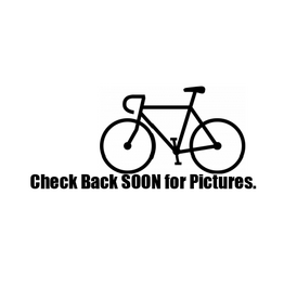 Bike : Guardian Ethos : K20" wheel