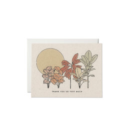 Red Cap In Desert Plants Thank You Card