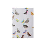 Scout Editions Gift Wrap, Park Life