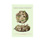 Actar Publishers Ambiguous Territory : Architecture, Landscape and the Postnatural
