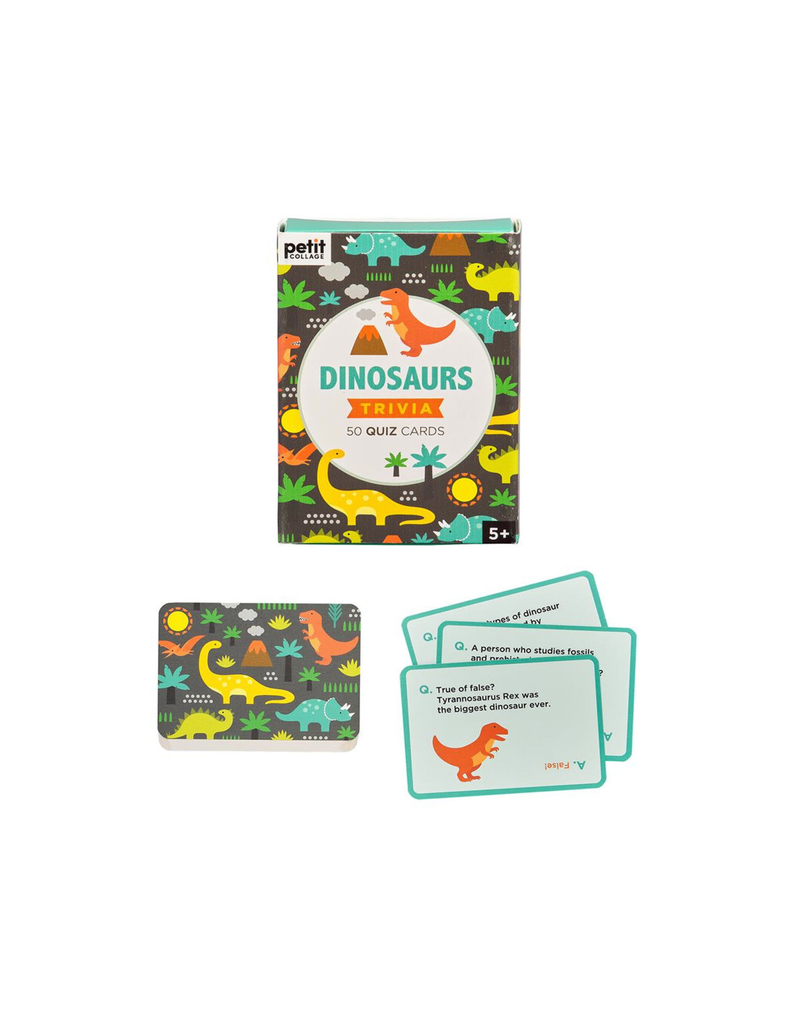 Dinosaurs Trivia Quiz Cards