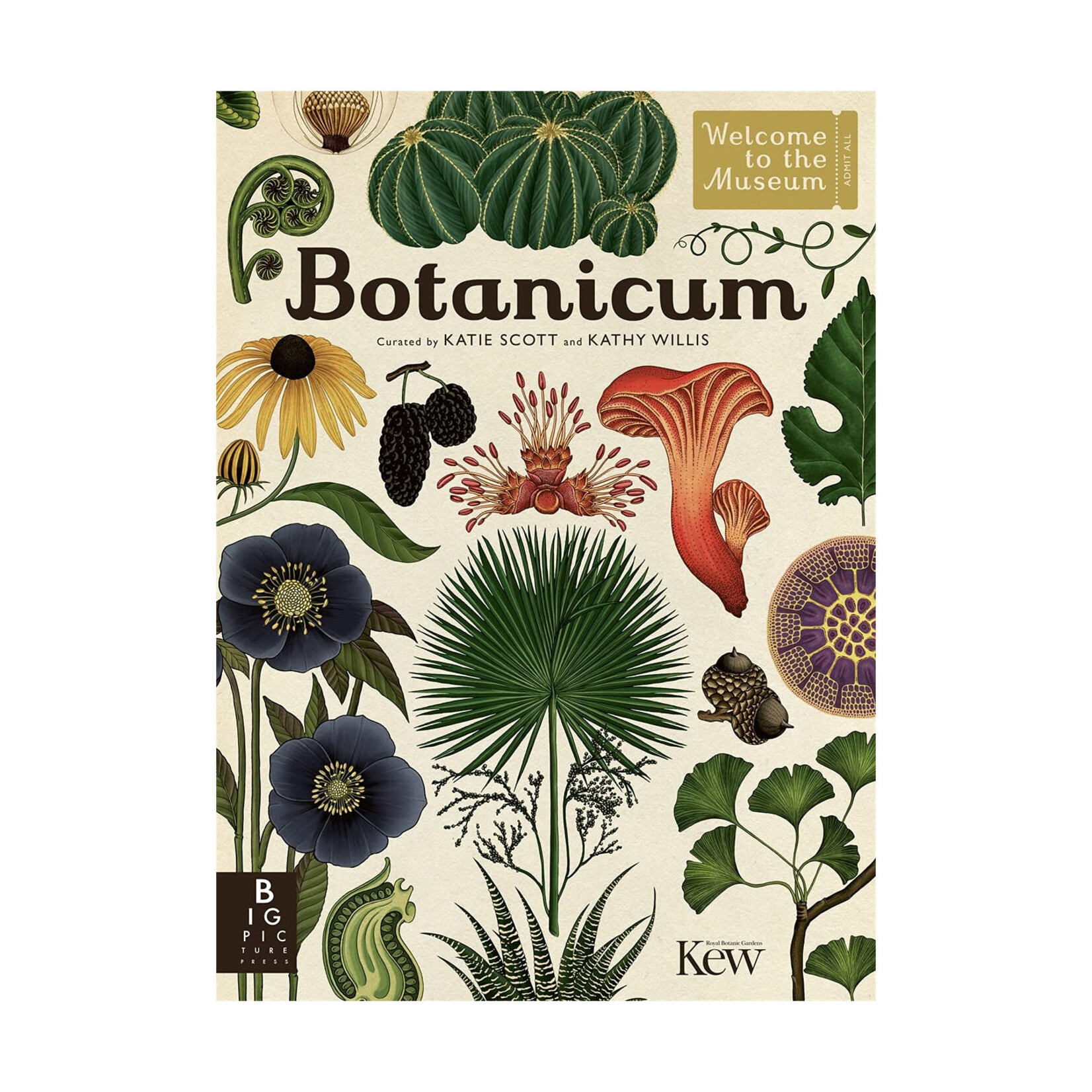 Botanicum: Welcome to the Museum