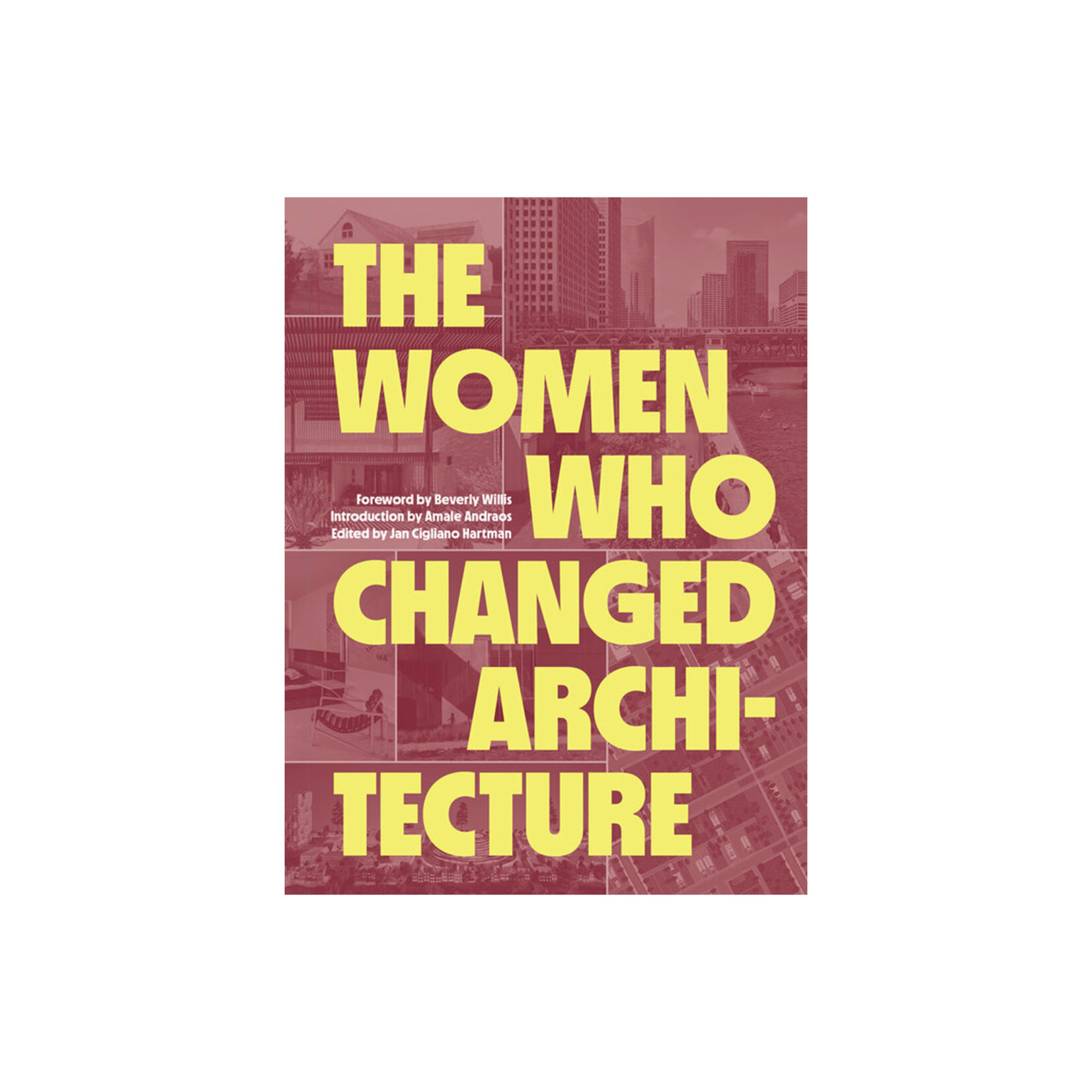 Princeton Architectural Press The Women Who Changed Architecture