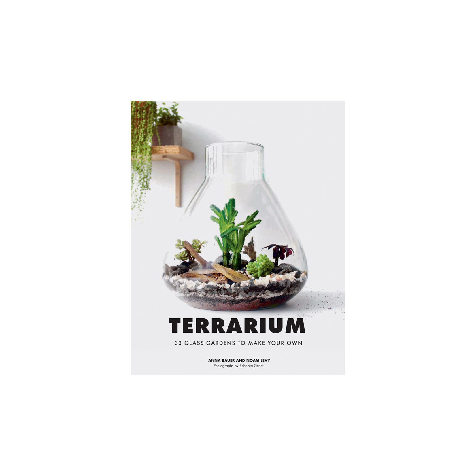 Chronicle Books Terrarium: 33 Glass Gardens to Make Your Own