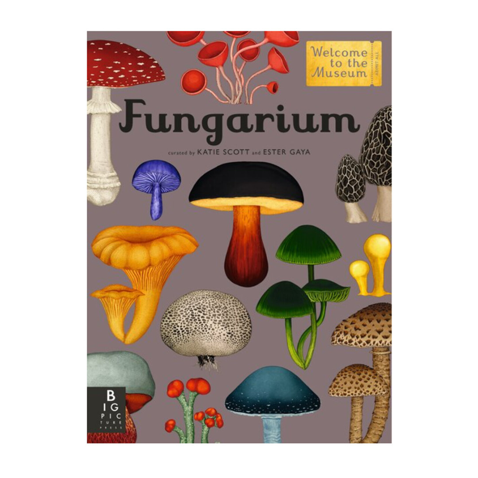 Fungarium: Welcome to the Museum